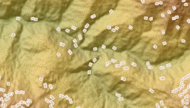 Digital Elevation Model