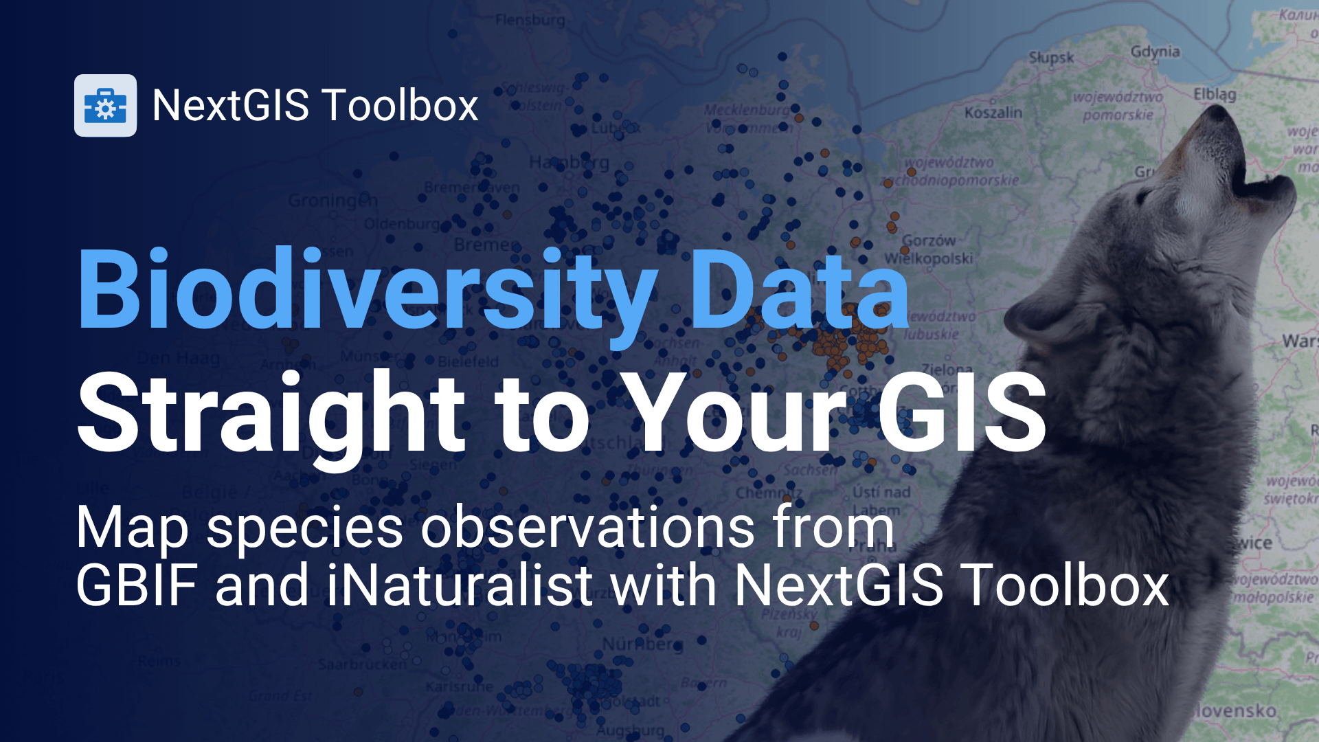 Biodiversity Data from iNaturalist and GBIF – Straight into Your GIS ...